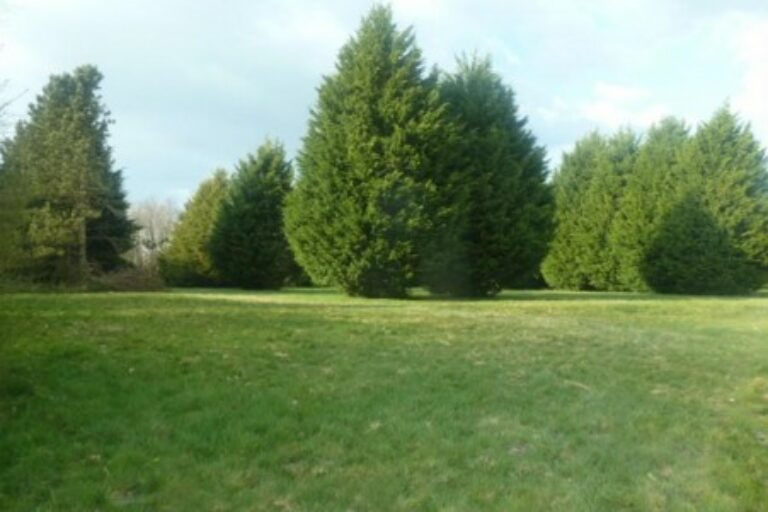 TERRAIN AGRICOLE, secteur Cormeilles